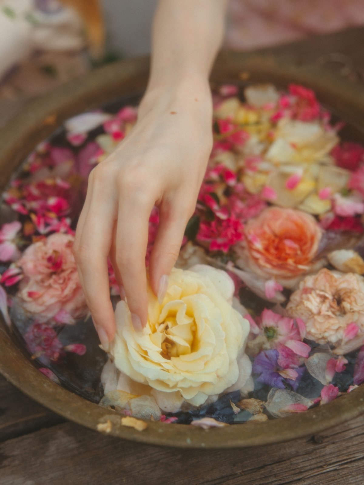 A hand placing a cream rose into a bowl of water and petals